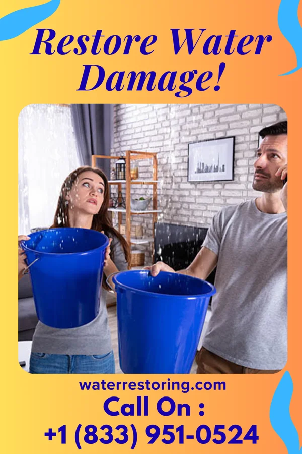 water restoration Eagle Water Damage Pros Bonifay