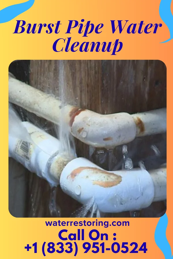 Burst Pipe Water Cleanup in Bonifay, FL