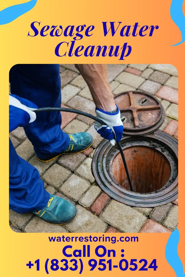 Sewage Water Cleanup in Bonifay, FL